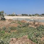 לכידת יתושים נגועים קדחת נילוס באזור אור יהודה. צילום_ המשרד להגנת הסביבה
