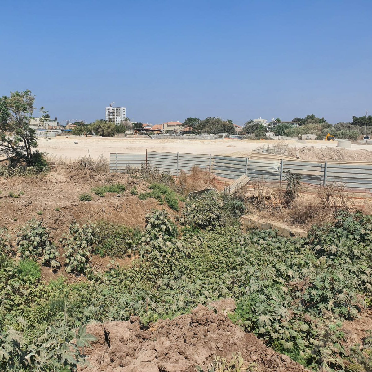 לכידת יתושים נגועים קדחת נילוס באזור אור יהודה. צילום_ המשרד להגנת הסביבה