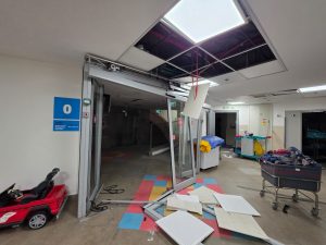 צילום: אלעזר פיינשטיין