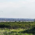 שדה חקלאית, בדקתם מה ריססו לידכם? צילום: אודי דוד בן דוד