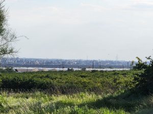 שדה חקלאית, בדקתם מה ריססו לידכם? צילום: אודי דוד בן דוד